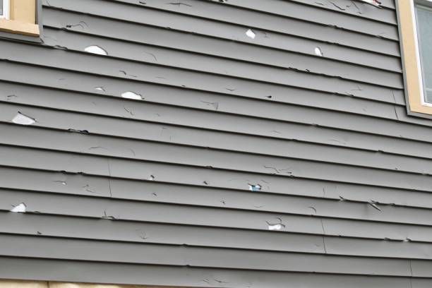 Best Siding Repair  in USA